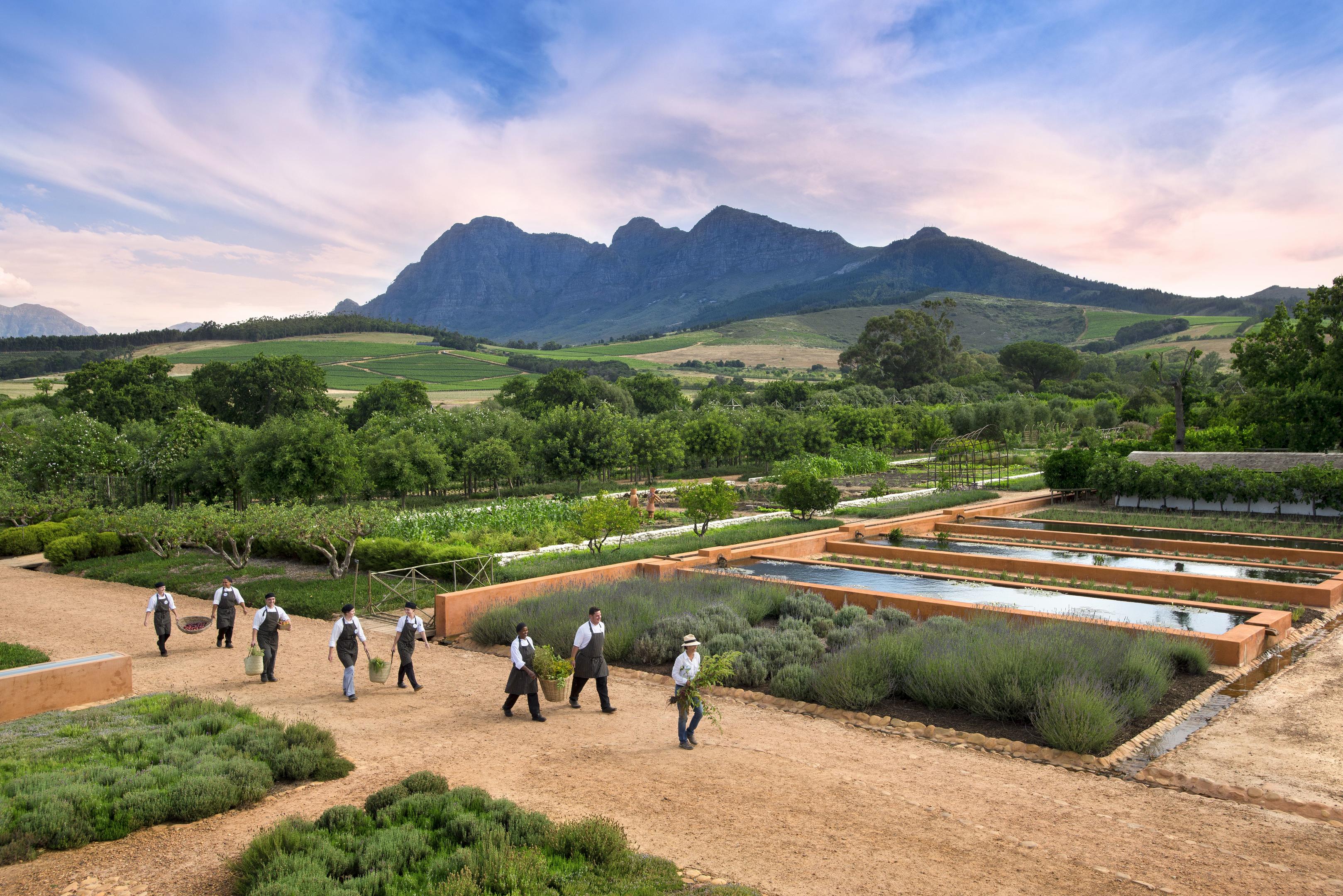 Babylonstoren thumbnail 9